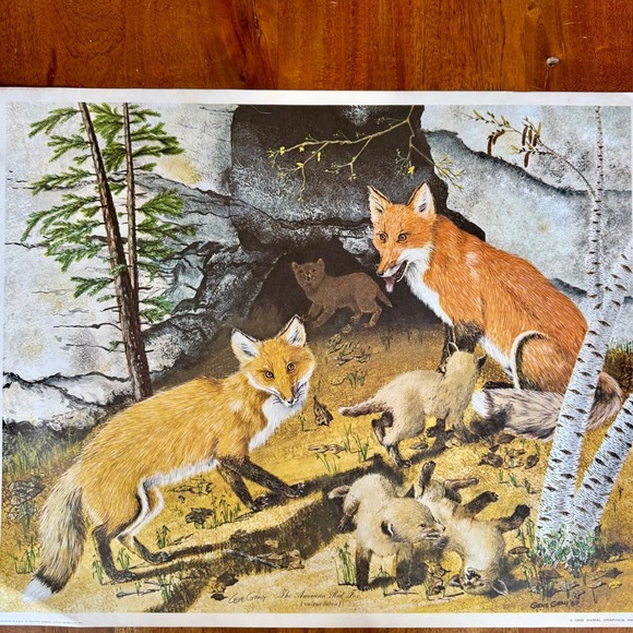 Animal Graphics Inc. Other - Vintage 1969 Gene Gray The American Red Fox Signed Lithograph Print 18x22